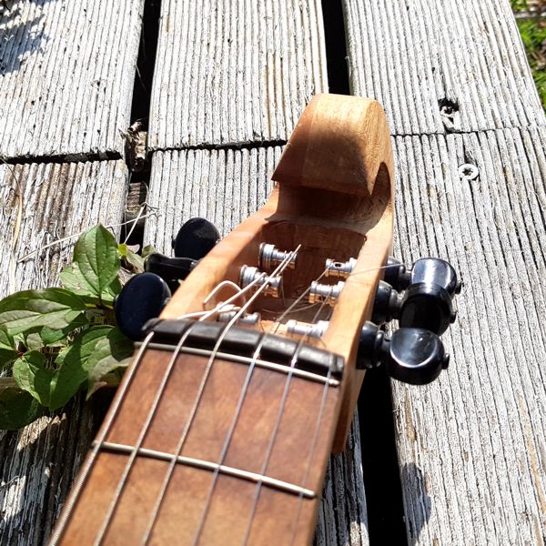 Viola Arca Archa - cookie box viola