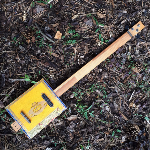 Cigar Box Guitar