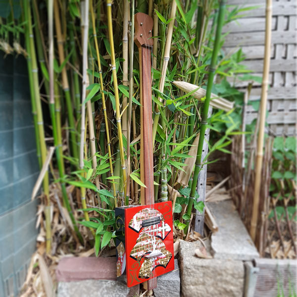 Cookie Tin Slide Guitar